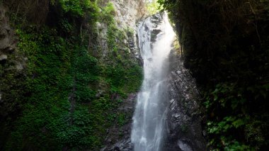 Güzel tropik şelale.