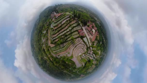 インドネシアの熱帯の風景農地 — ストック動画