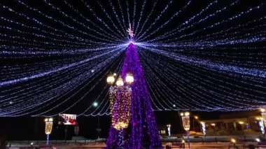 Gece parkta Noel ağacı.