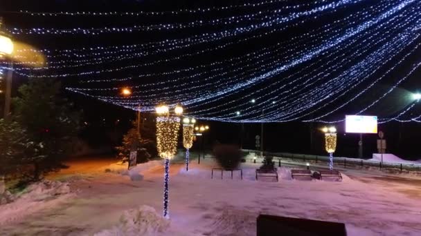 Parque de invierno por la noche — Vídeos de Stock