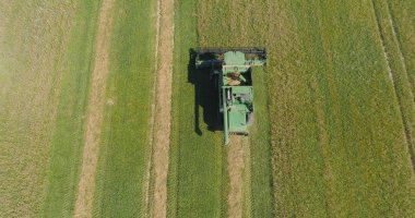 Buğday tarlasında hasatçıyı birleştir