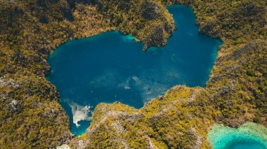 Filipinler, Coron, Palawan 'da tropikal bir adada Barakuda Gölü.