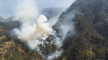 Dağlarda orman yangını