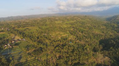 Endonezya 'da tarım arazisi olan tropikal araziler