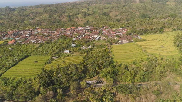 Тропічний пейзаж з сільськогосподарськими землями в Індонезії — стокове фото