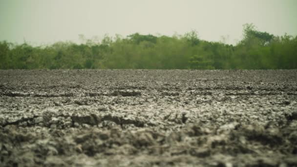 Volcán de lodo Bledug Kuwu, Indonesia — Vídeos de Stock