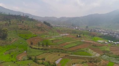 Dağlarda tarım arazileri olan tropikal manzaralar