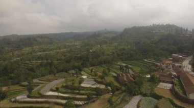 Dağlarda tarım arazileri olan tropikal manzaralar