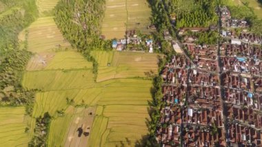 Endonezya 'da tarım arazisi olan tropikal araziler