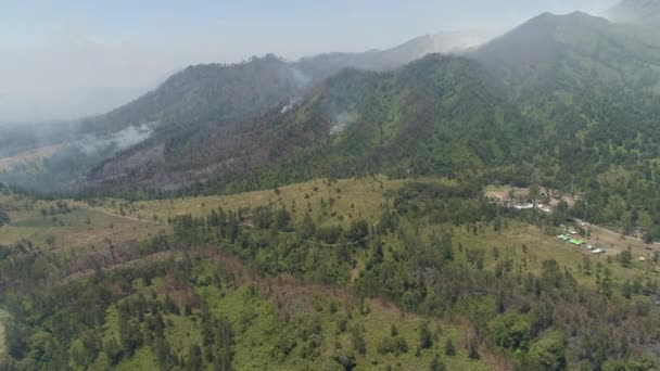 Лесной пожар в горах — стоковое видео
