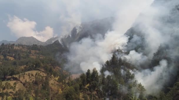 山の中の森林火災 — ストック動画
