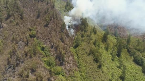 Fogo florestal nas montanhas — Vídeo de Stock