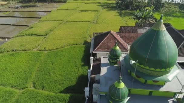 Mezquita entre campos de arroz Java Indonesia — Vídeos de Stock