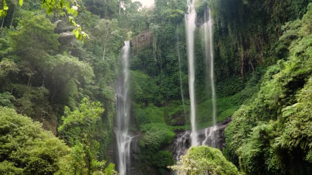 Bela cachoeira tropical Bali, Indonésia. — Vídeo de Stock