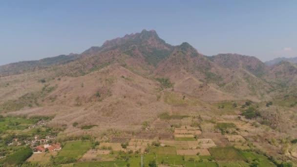 印度尼西亚的农业用地 — 图库视频影像