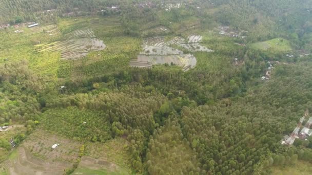 Paisaje tropical con tierras agrícolas en indonesia — Vídeo de stock