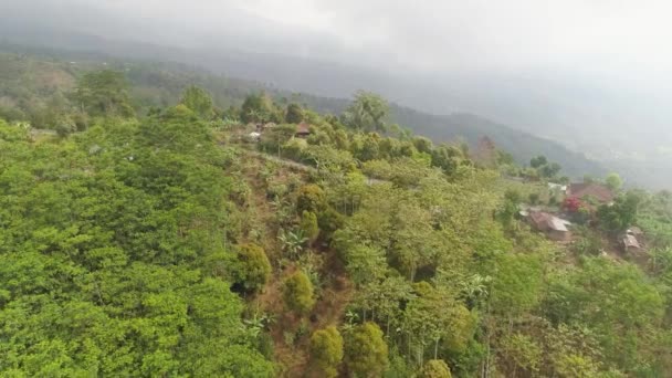 Zemědělská půda a vesnice Bali, Indonésie. — Stock video