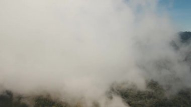 Dağlarda göl, Bali adası, Endonezya.