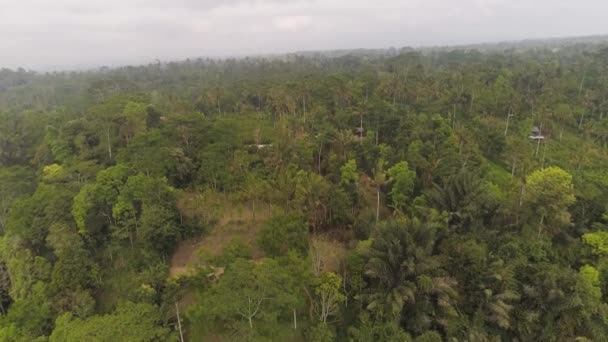 Jordbruksmark och byn Bali, Indonesien. — Stockvideo