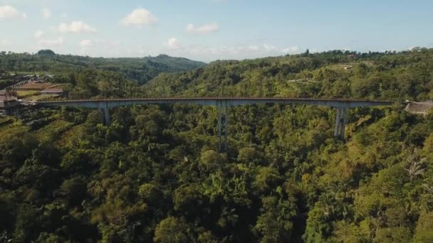 Puente sobre el cañón de la montaña en la selva. Bali, Indonesia . — Vídeos de Stock