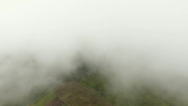 Terres agricoles dans les montagnes dans le brouillard. Île de Jawa, Indonésie — Video