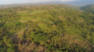 Endonezya 'da tarım arazisi olan tropikal araziler