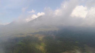 Endonezya 'da tarım arazileri ve köy Bali.