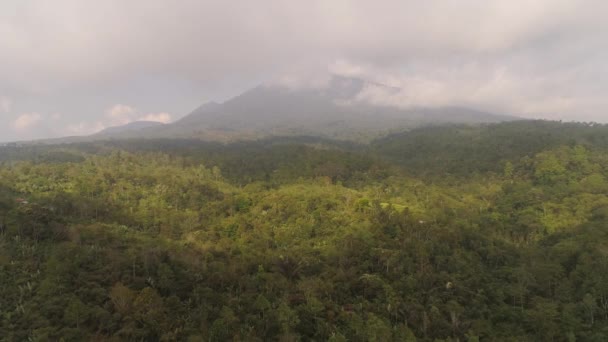 Tropische Landschaft Regenwald und Berge — Stockvideo