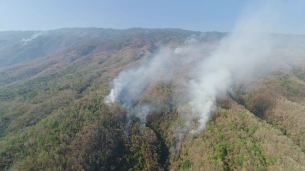 Fogo florestal nas montanhas — Vídeo de Stock