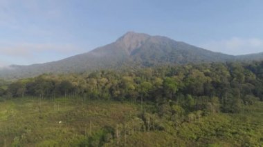 Tropikal manzara yağmur ormanları ve dağlar