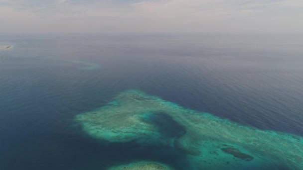 Arrecife de coral marino en el mar — Vídeos de Stock