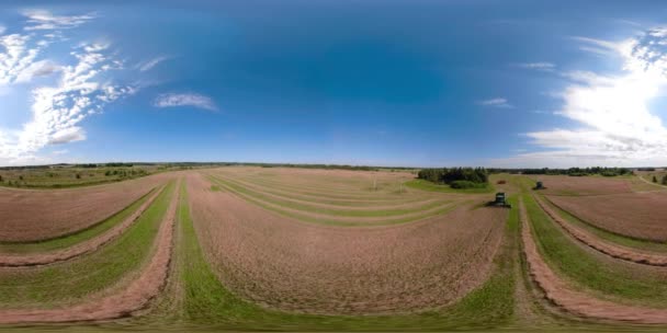 Зернозбиральний комбайн на пшеничному полі VR360 — стокове відео