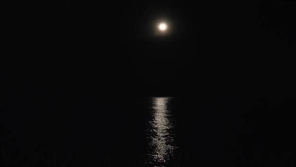 Місячне світло на морі — стокове відео