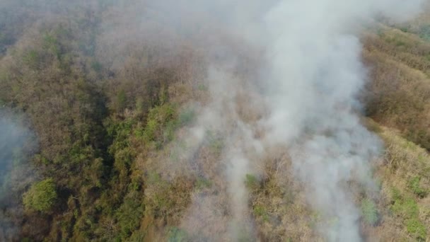feu de forêt dans les montagnes