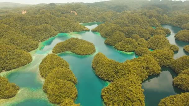 Paisaje marino con lagunas e islas — Vídeo de stock