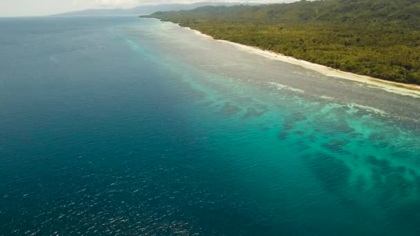Tropikalnej plaży i turkusowe morze Filipiny, Bohol — Wideo stockowe
