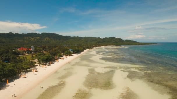 Praia tropical e mar azul-turquesa Filipinas, Bohol — Vídeo de Stock
