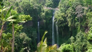 Güzel tropik şelale Bali, Endonezya.