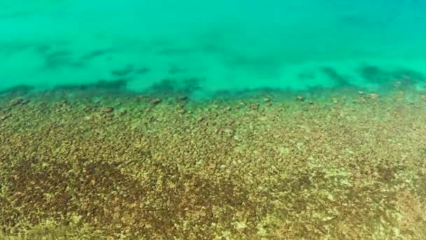 Bovenaanzicht van een schoon oceaanwater bij een kust — Stockvideo