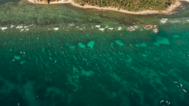 Trópusi sziget és kék tenger, Fülöp-szigetek, Palawan — Stock videók