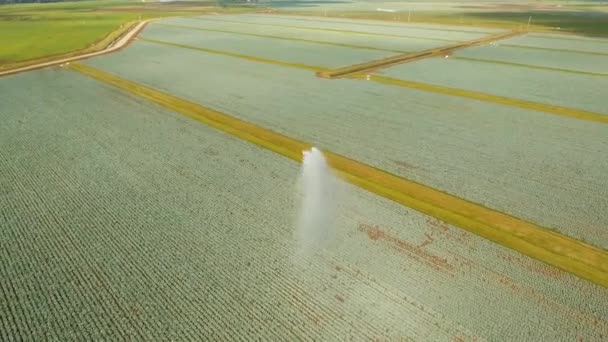 Sistema de riego en tierras agrícolas. — Vídeos de Stock