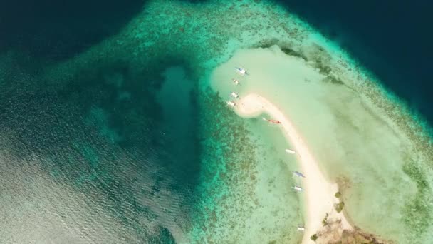 Insulă tropicală cu plajă cu nisip, Filipine, Palawan — Videoclip de stoc