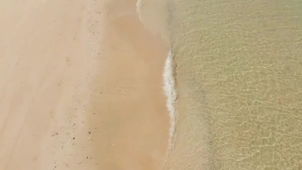 Stor tropisk strand med vit sand, utsikt ovanifrån. — Stockvideo