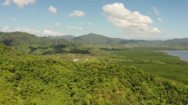Tropikal orman ve dağlar, Palawan, Filipinler