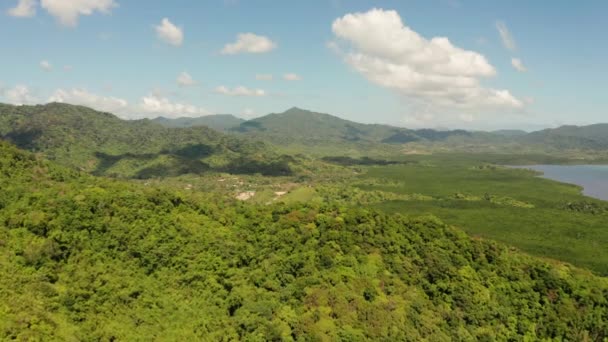 Tropiska skogar och berg, Palawan, Filippinerna — Stockvideo