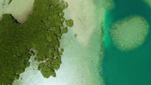 Tropik ada ve mercan resifi, Filipinler, Palawan — Stok video