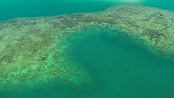 Tropikalny krajobraz z błękitnym morzem i rafą koralową — Wideo stockowe