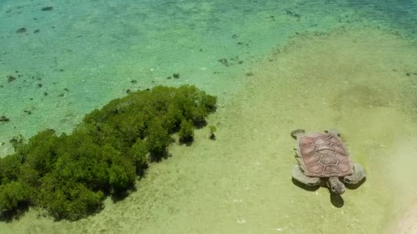 Isola tropicale con spiaggia sabbiosa. Palawan, Filippine — Video Stock