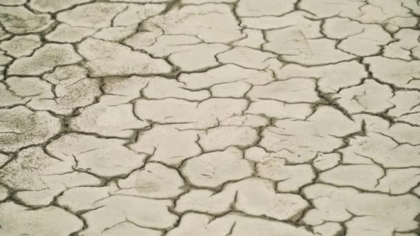 Vulkanische LandschaftTrockene Bodenbeschaffenheit — Stockvideo