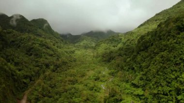 Dağlarla kaplı yağmur ormanları, Filipinler, Camiguin.